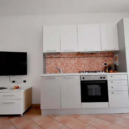 Il Cardellino